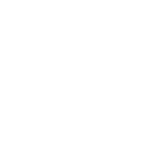 Project Consultancy